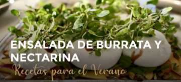 Ensalada Burrata Y Nectarina
